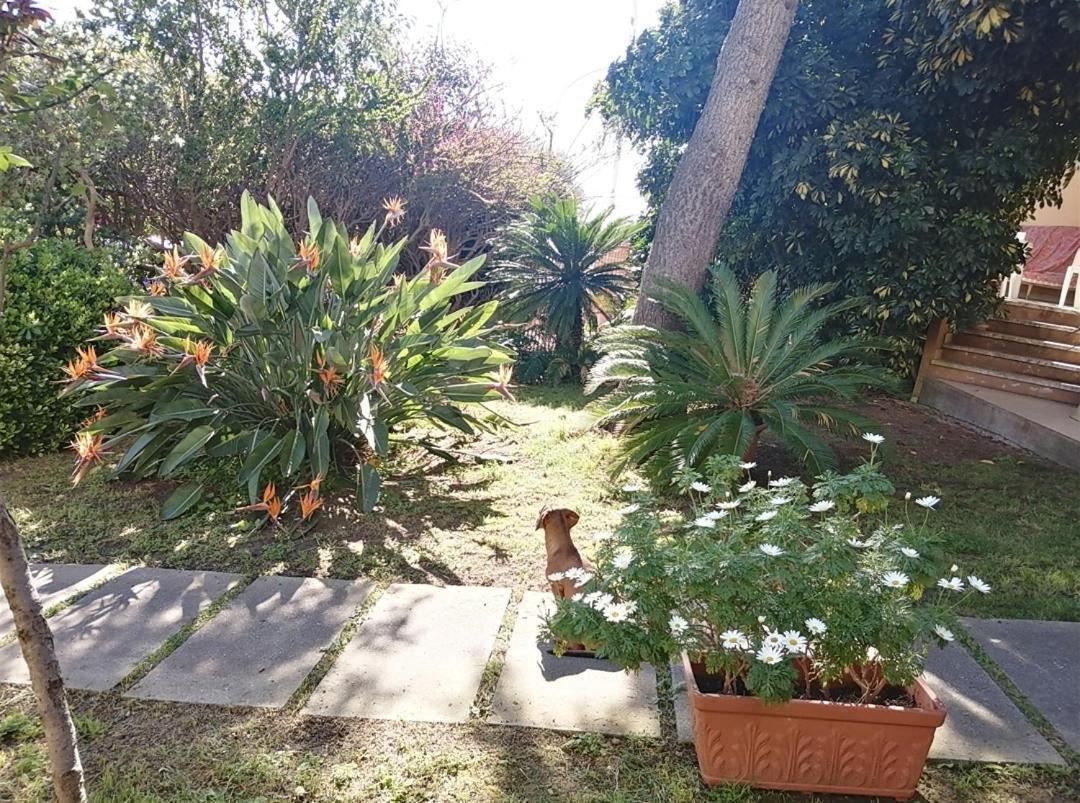 Luis&Susy Home, Cagliari Exteriör bild